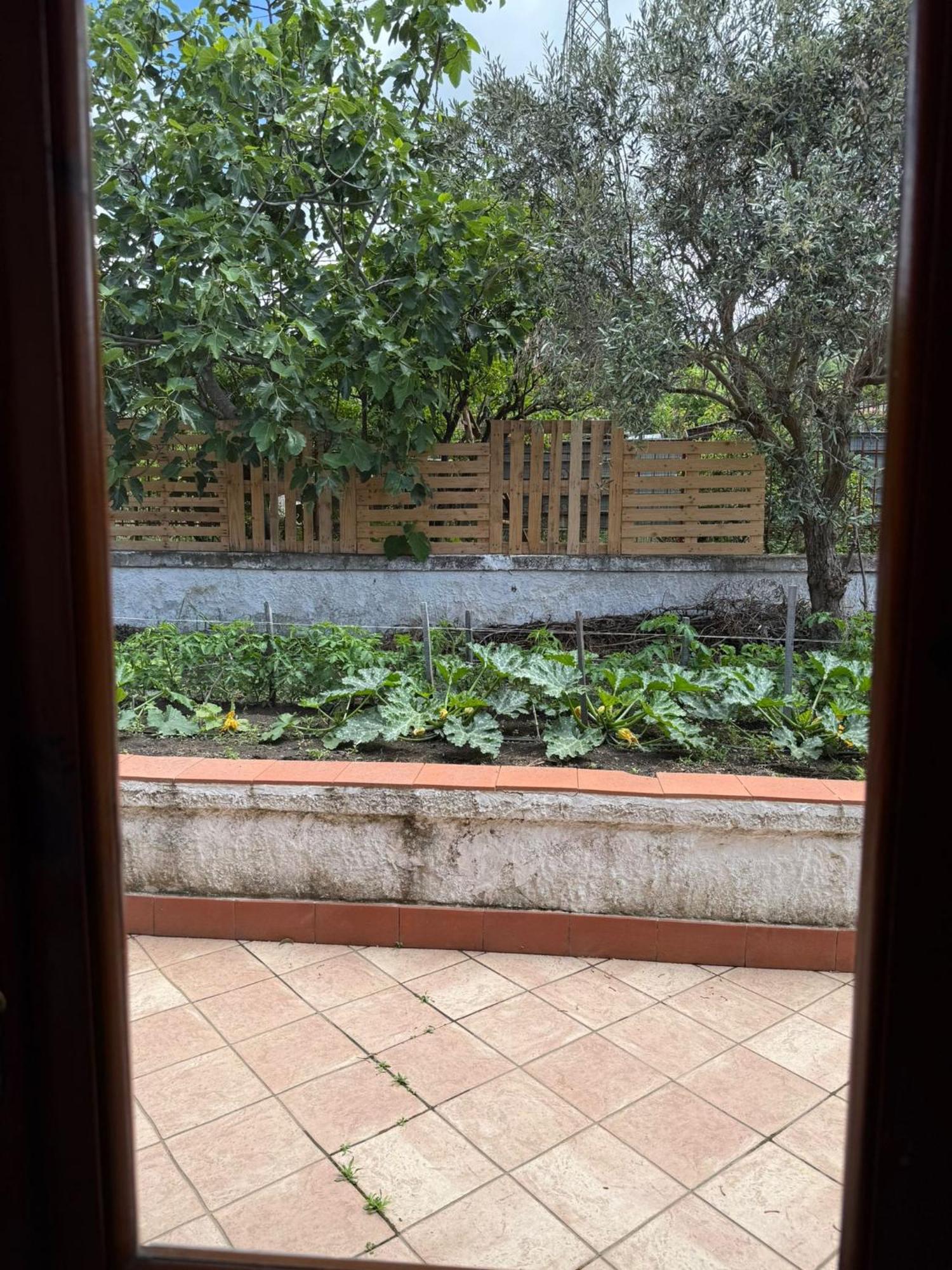 B&B Ioli Vesuvio Эрколано Экстерьер фото